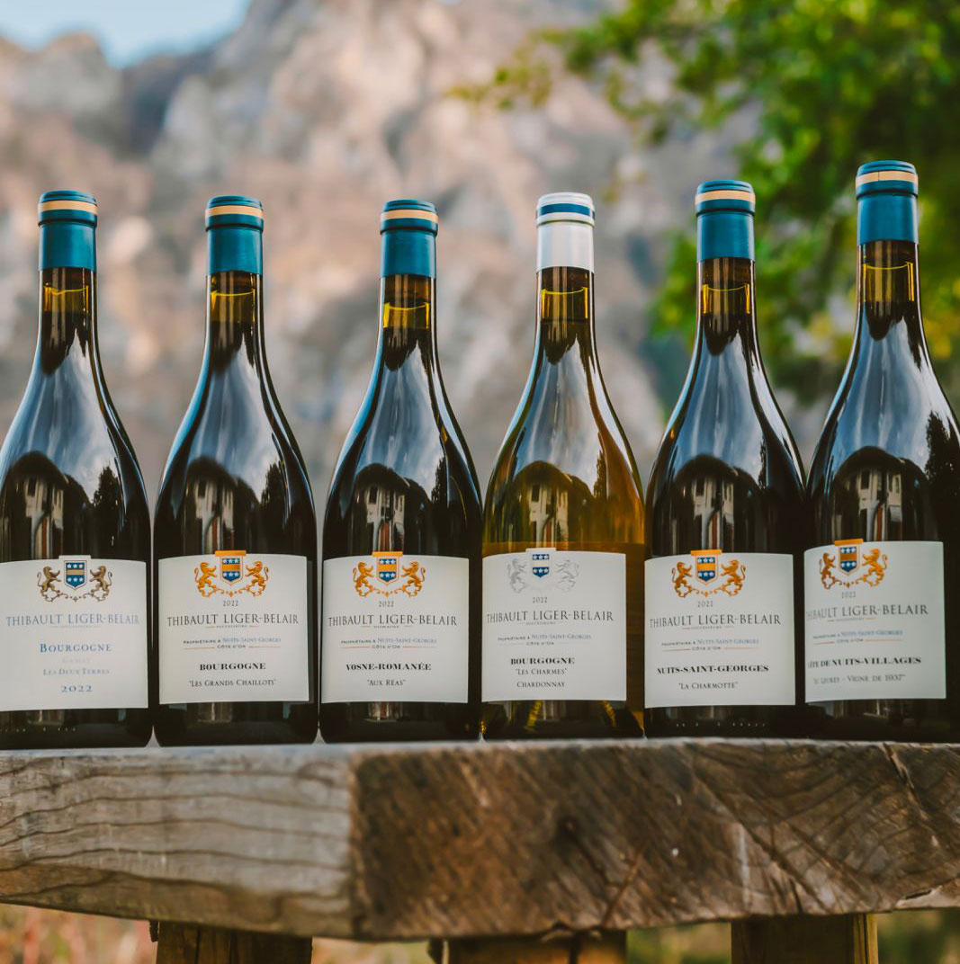 Le bottiglie dei vignaioli distribuiti da Wild Vigneron tra le montagne