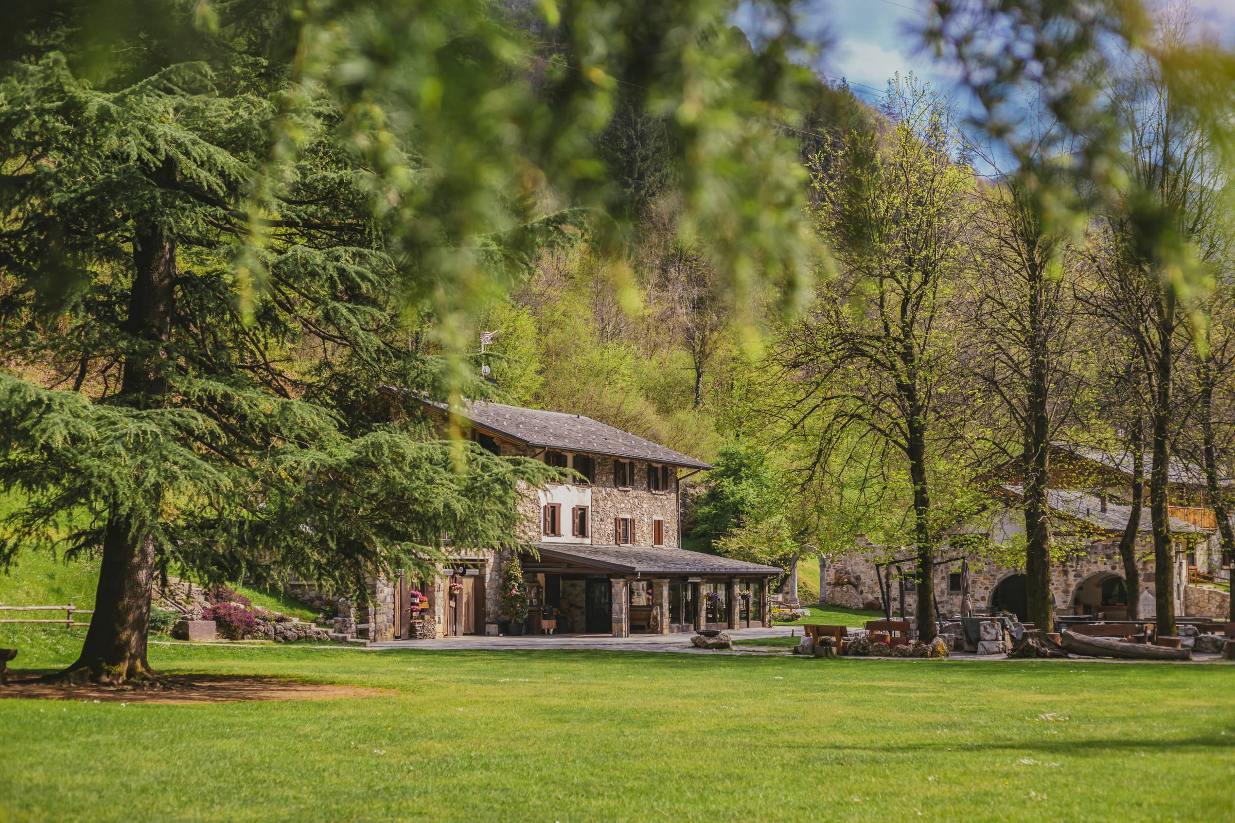 Esperienze in Agriturismo Ferdy: cena gourmet, spa e soggiorno in alpe da regalare