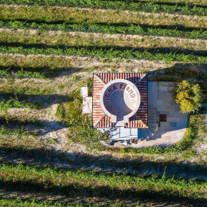 Barolo 2019