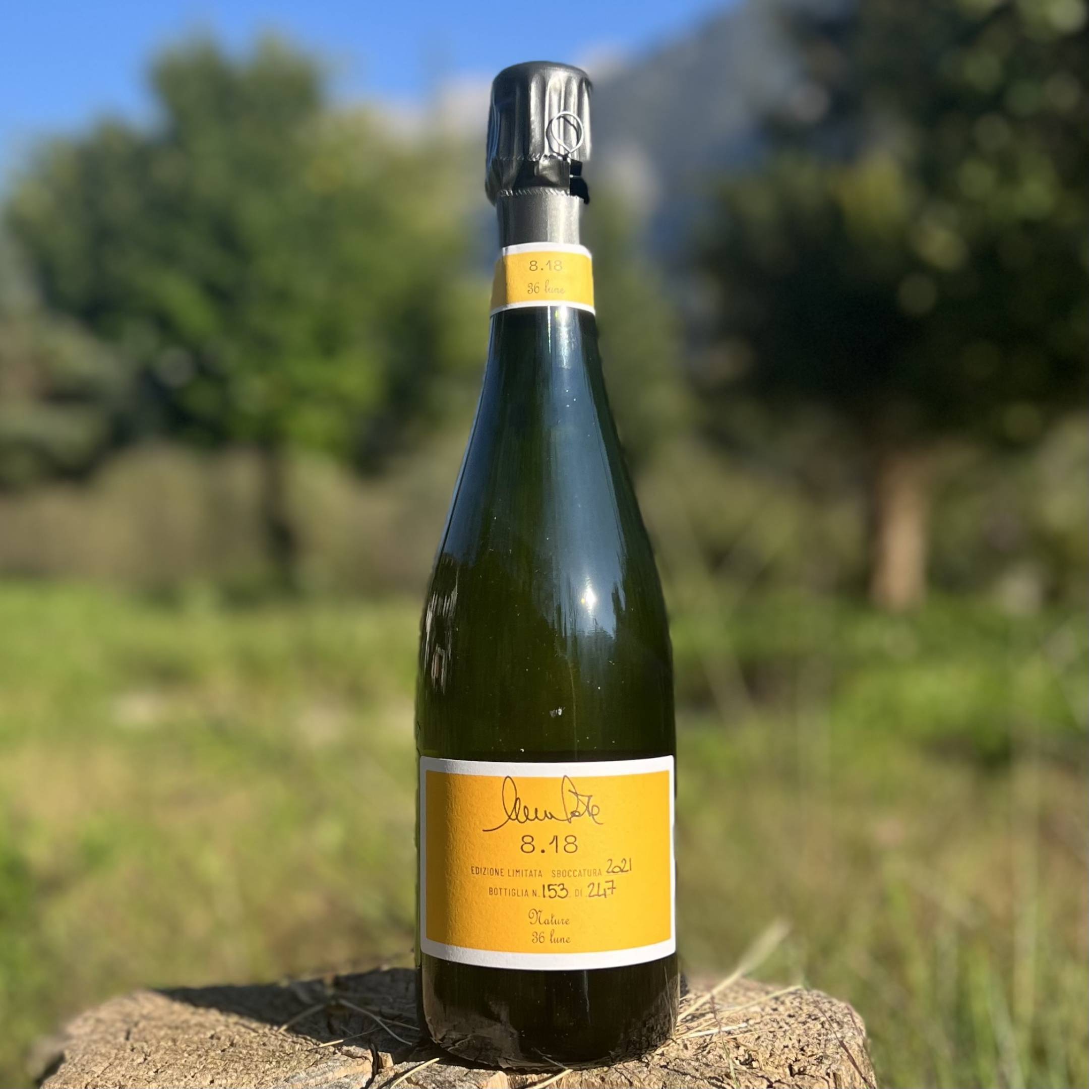 Nicola Gatta 8.18 Chardonnay Perpetuel
