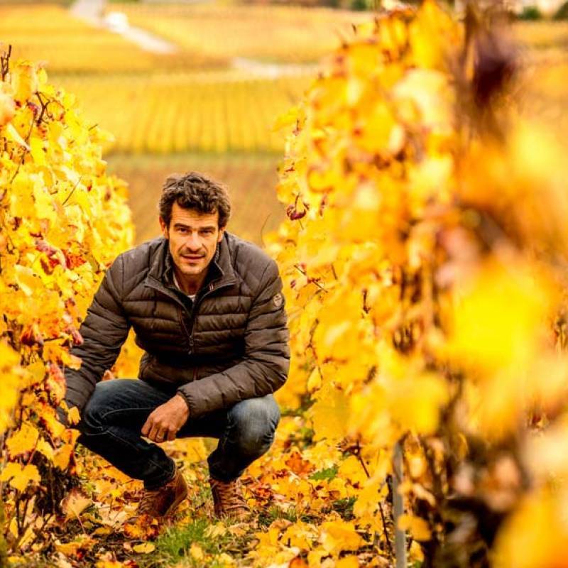 Champagne Les Coupes  Franc de pied 1er Cru 2018