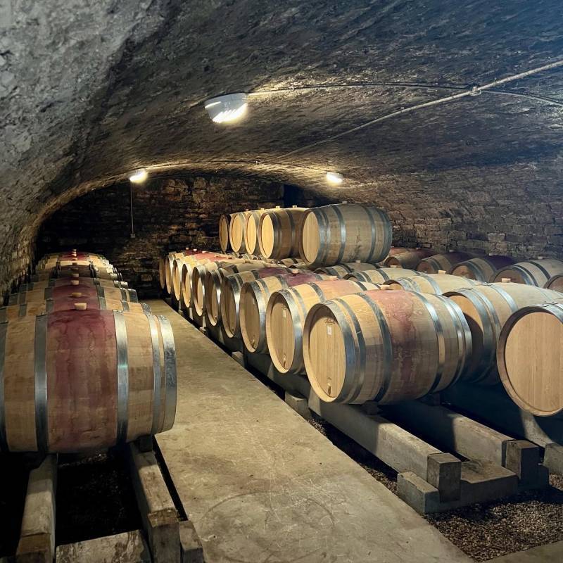 Bourgogne Blanc En Jarre  2021