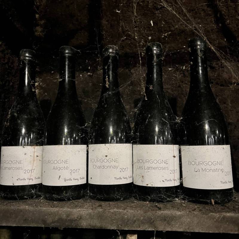 Savigny les Beaune les Guettotes 2021