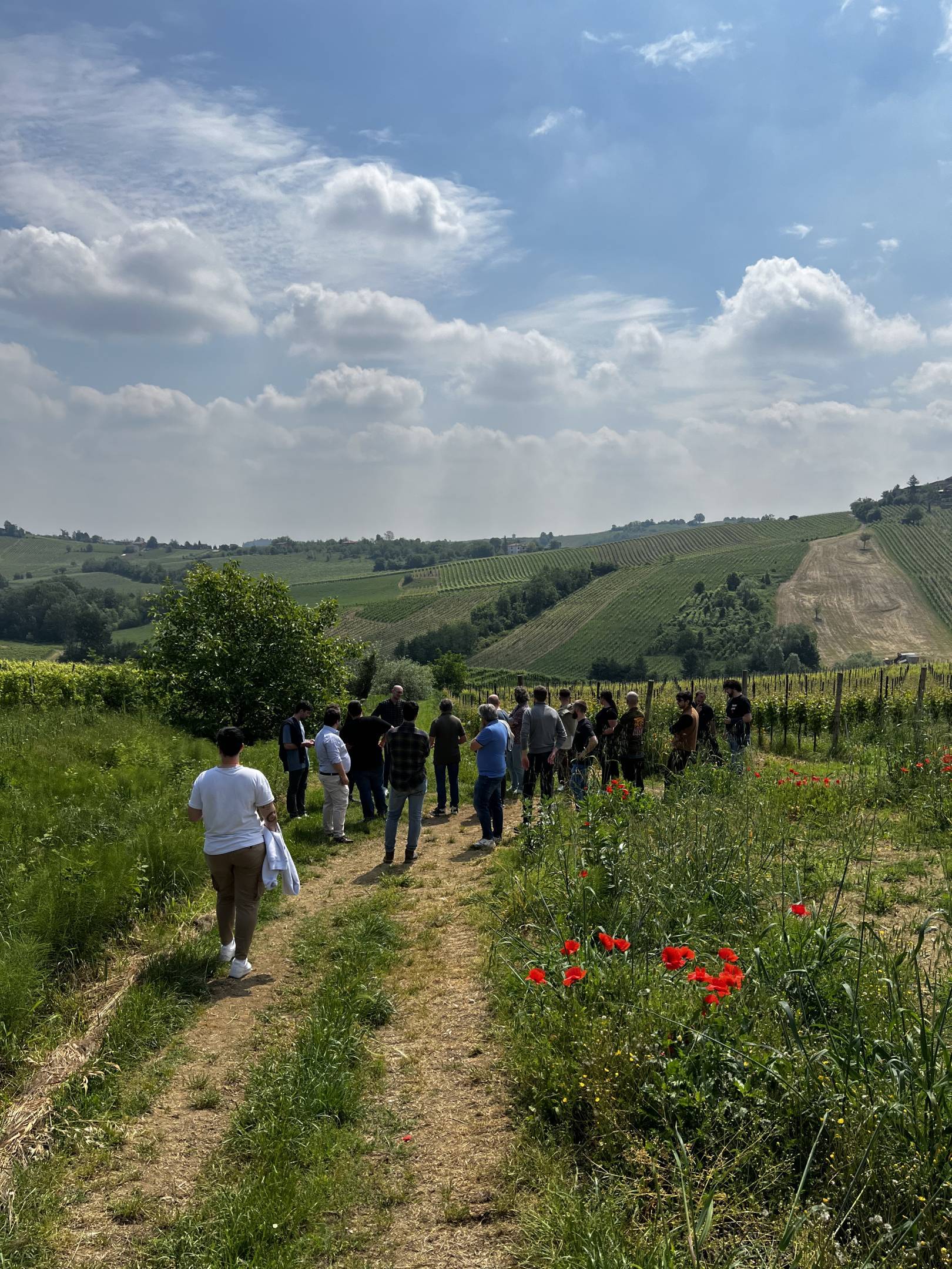 Fausto Andi: annate vintage per il futuro, longevità del vino (LDV 2024)