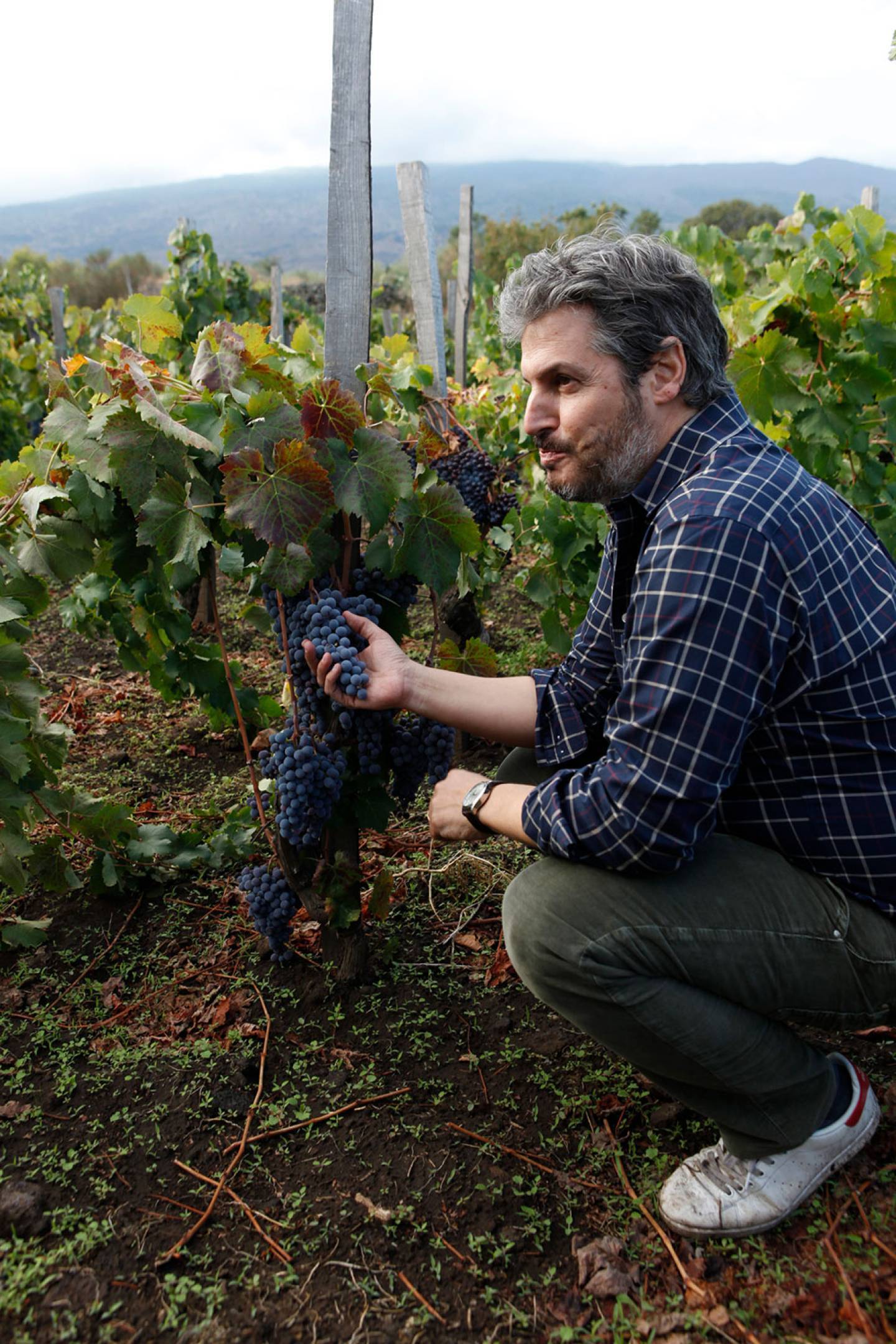 Federico Graziani: un vulcano di sommelier, da berlo a produrlo (LDV 2024)