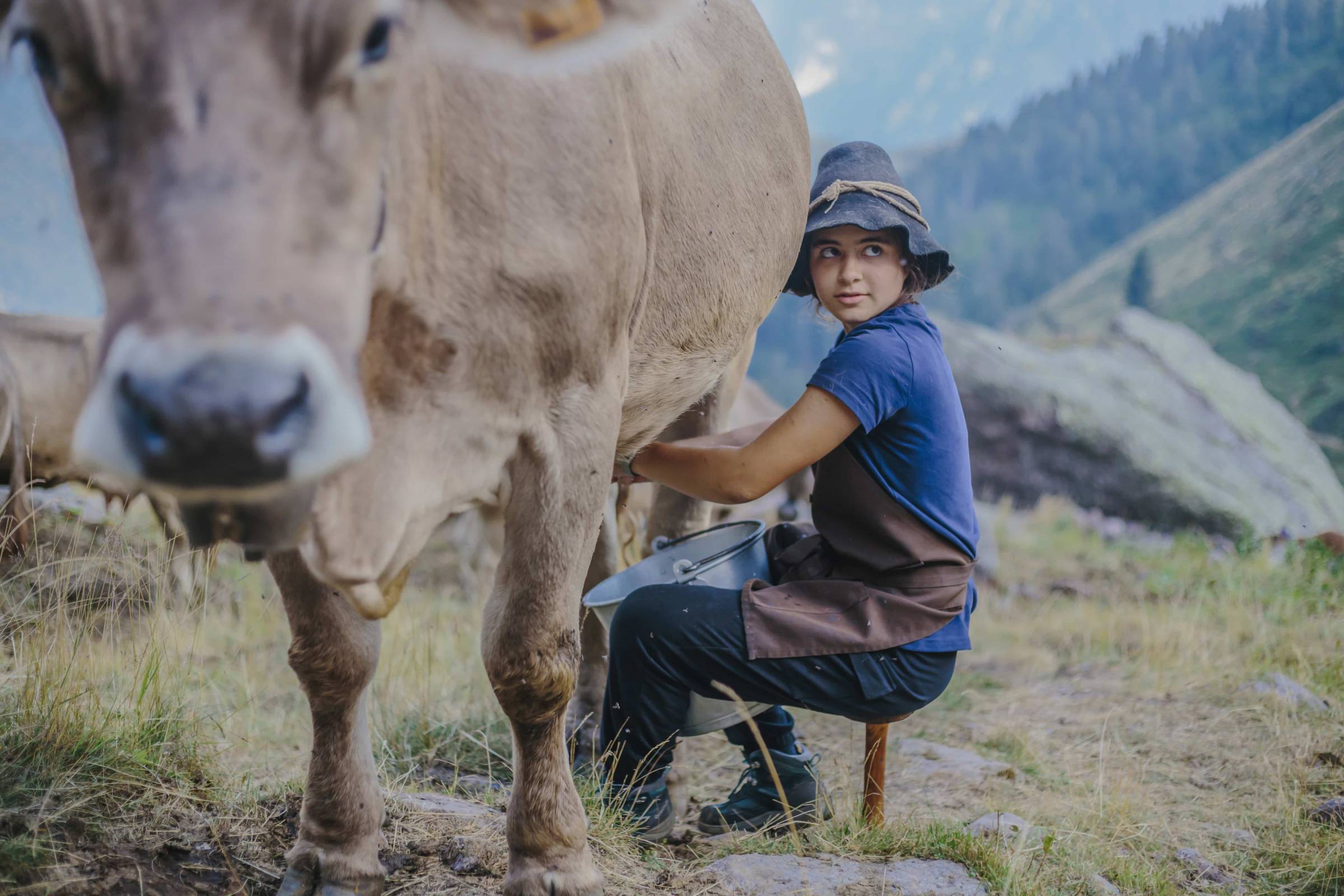 L'Abbinamento perfetto: miele e formaggio