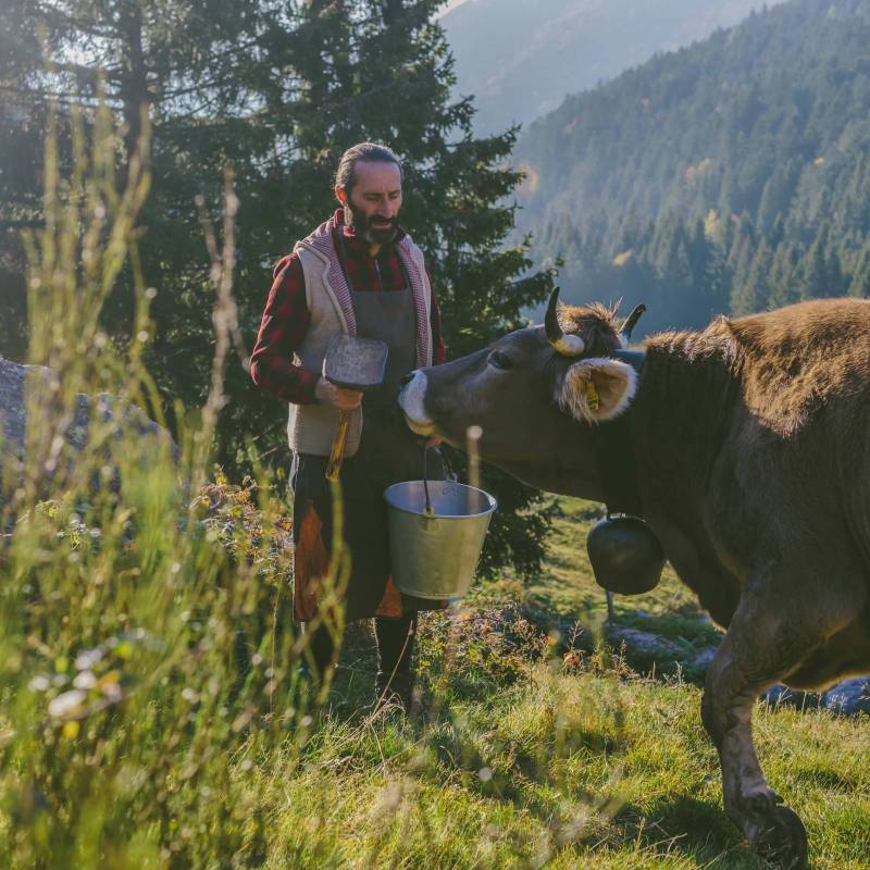 Formai de Mut dell'Alta Valle Brembana DOP 2021