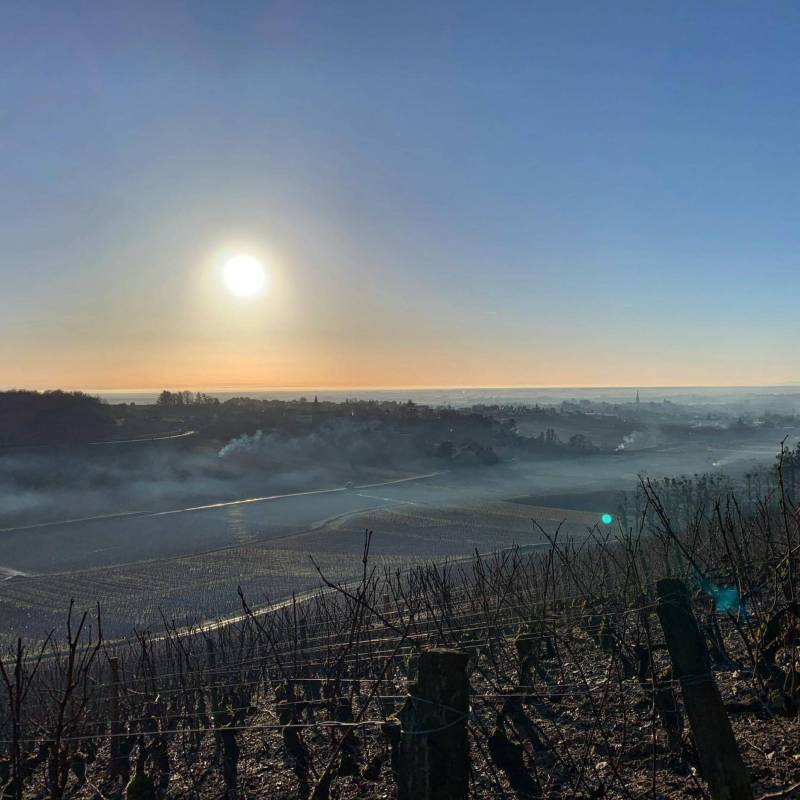 Hautes Cotes De Beaune