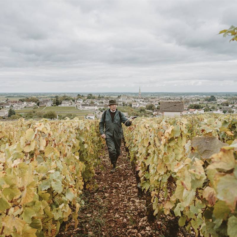 Meursault Les Durots