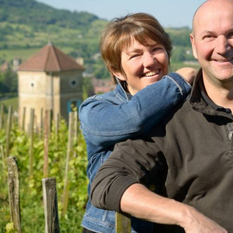 Arbois Pinot Noir Sous La Tour