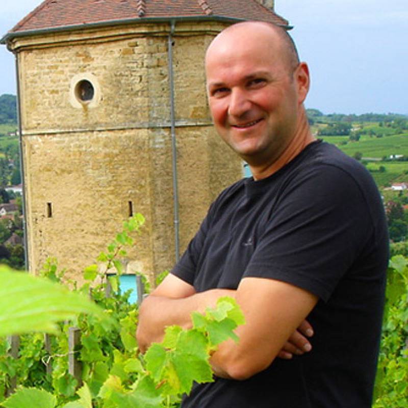 Arbois Pinot Noir Sous La Tour