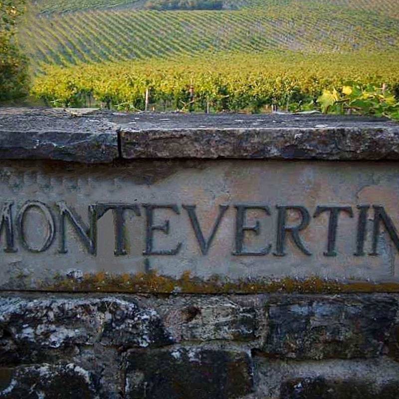 Montevertine 2021