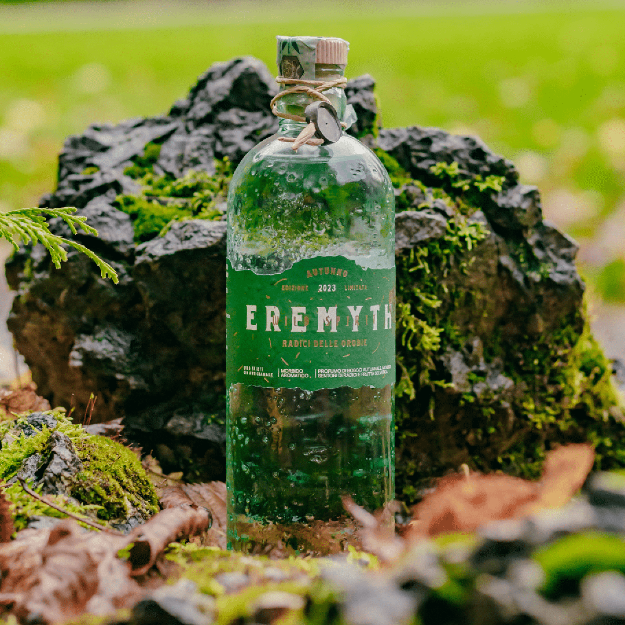 Eremyth Gin Autunno 2023