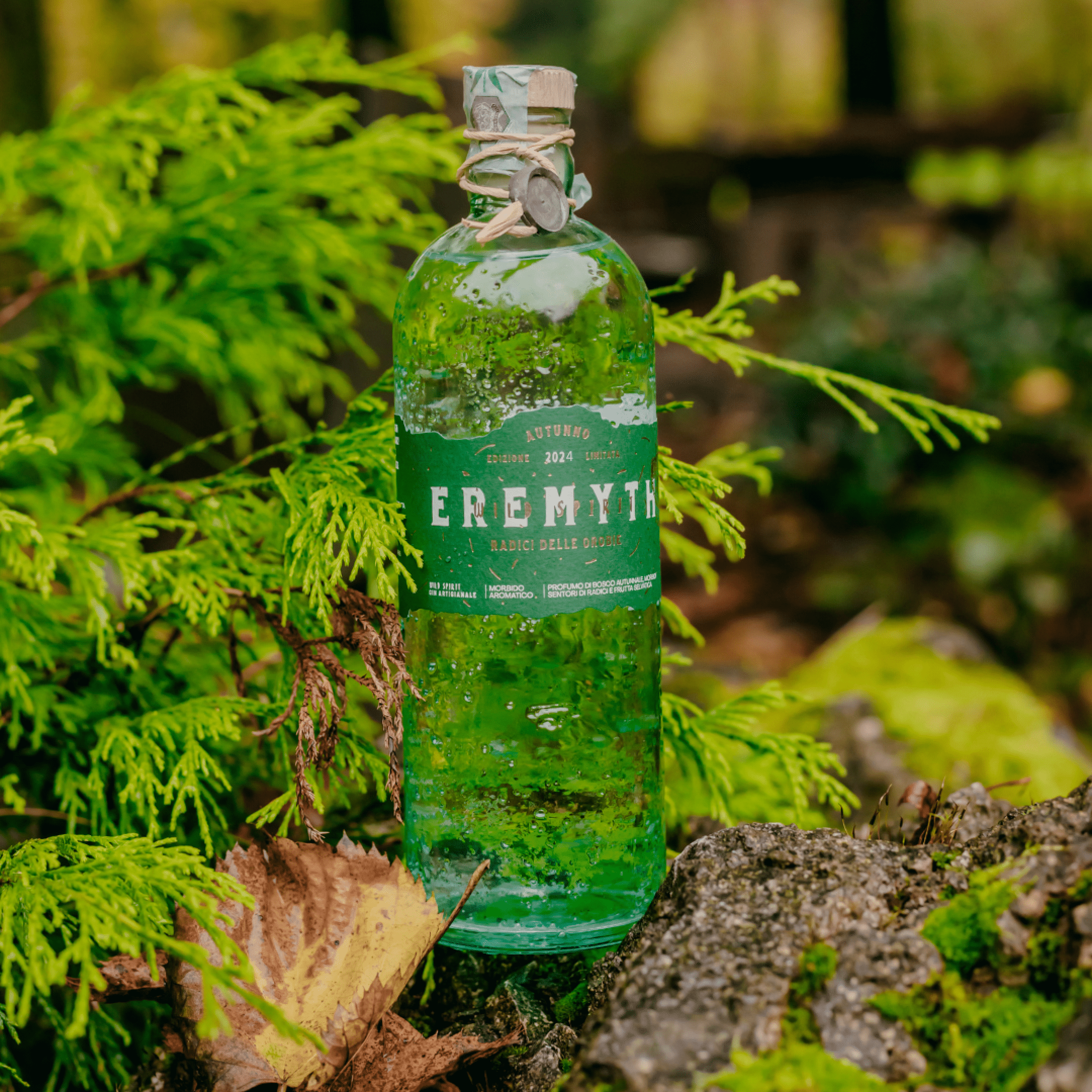 Eremyth Gin Radici 2024