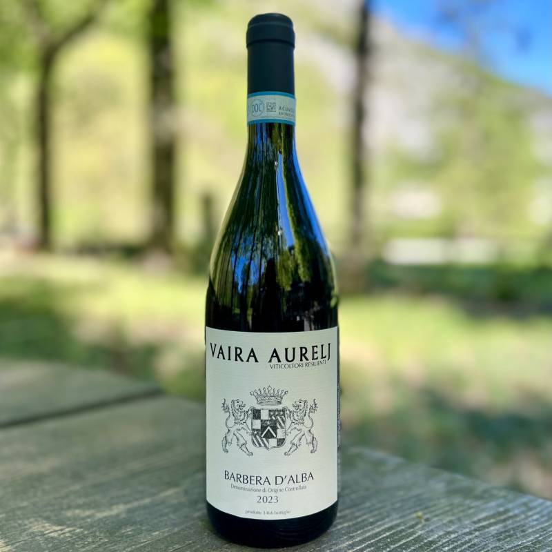 Barbera d'Alba 2023