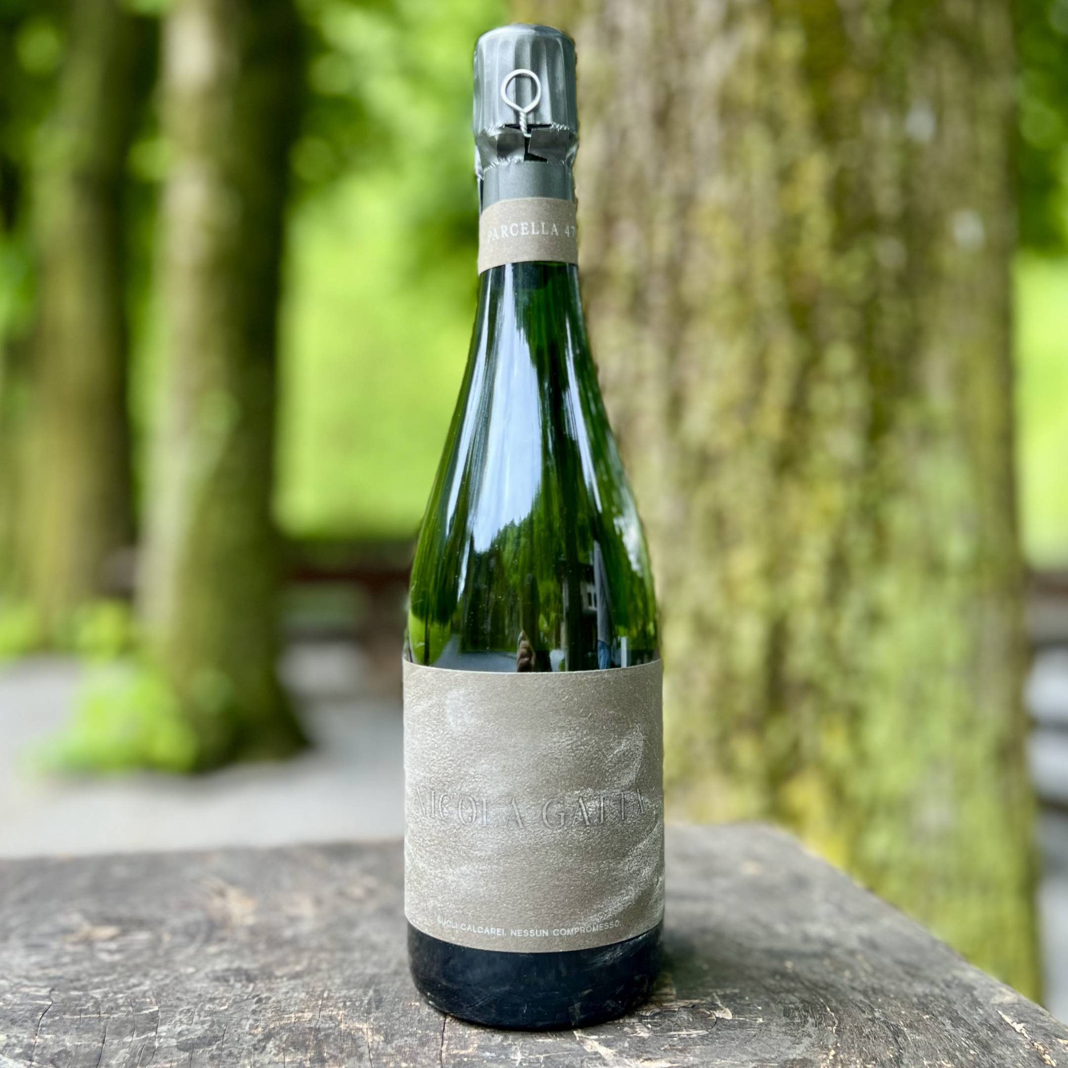 Nicola Gatta Cru Campiani 479