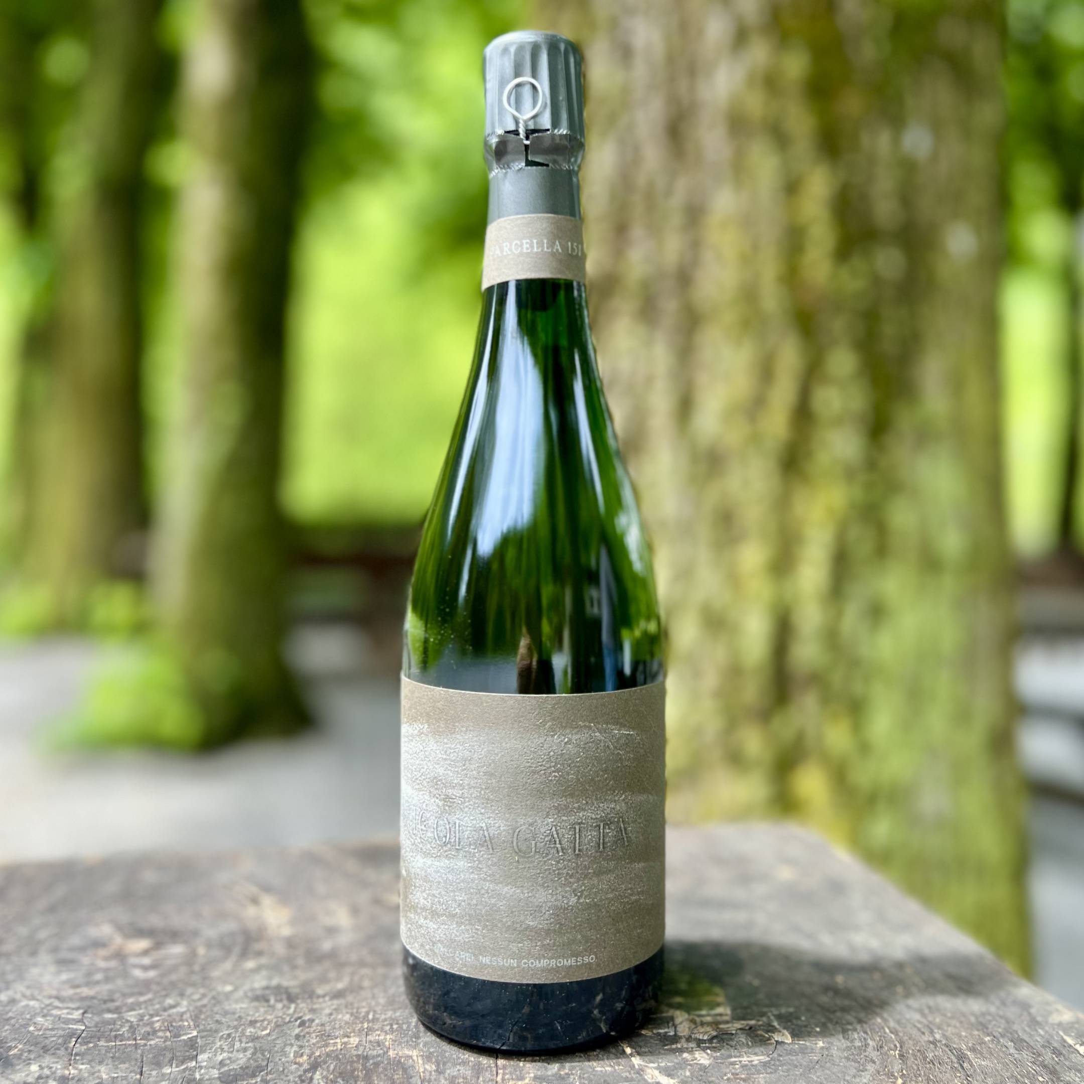 Nicola Gatta Cru Campiani 151