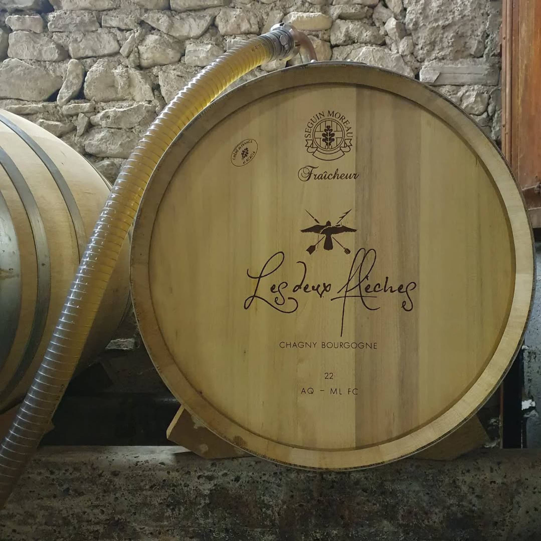 Wild Vigneron X Les Deux Flèches 12.05.2025