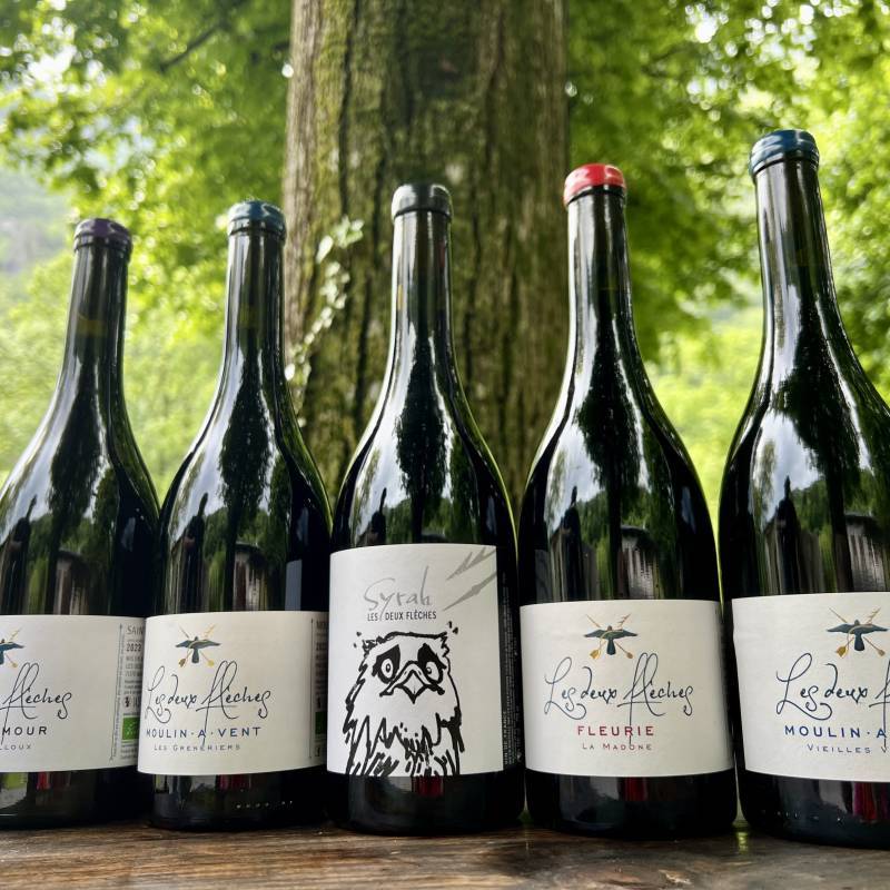 Chenas Vieilles Vignes