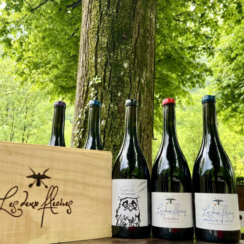 Chenas Vieilles Vignes