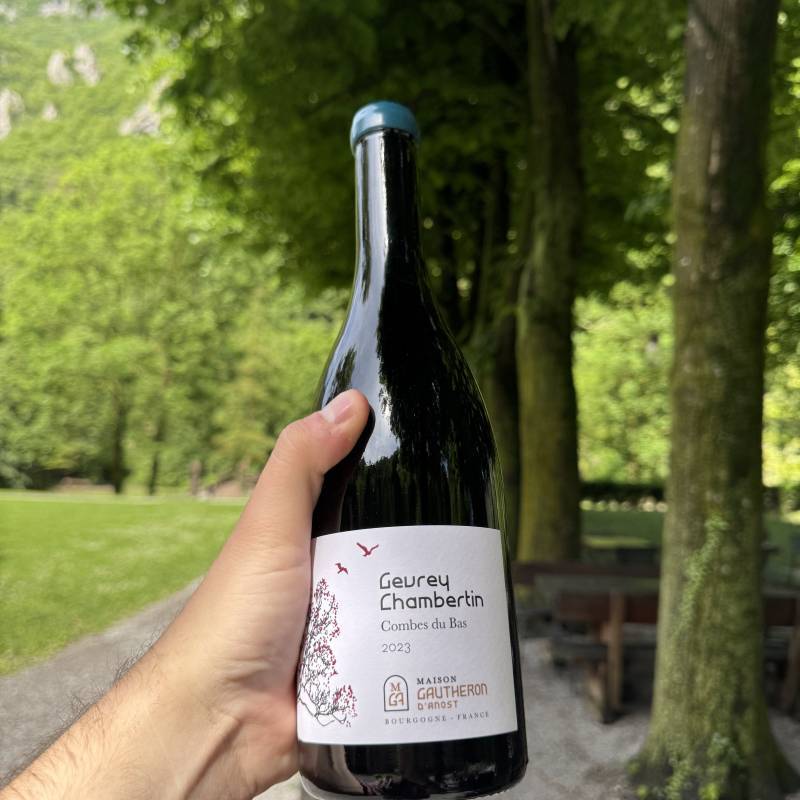 Gevrey Chambertin Combe du Bas
