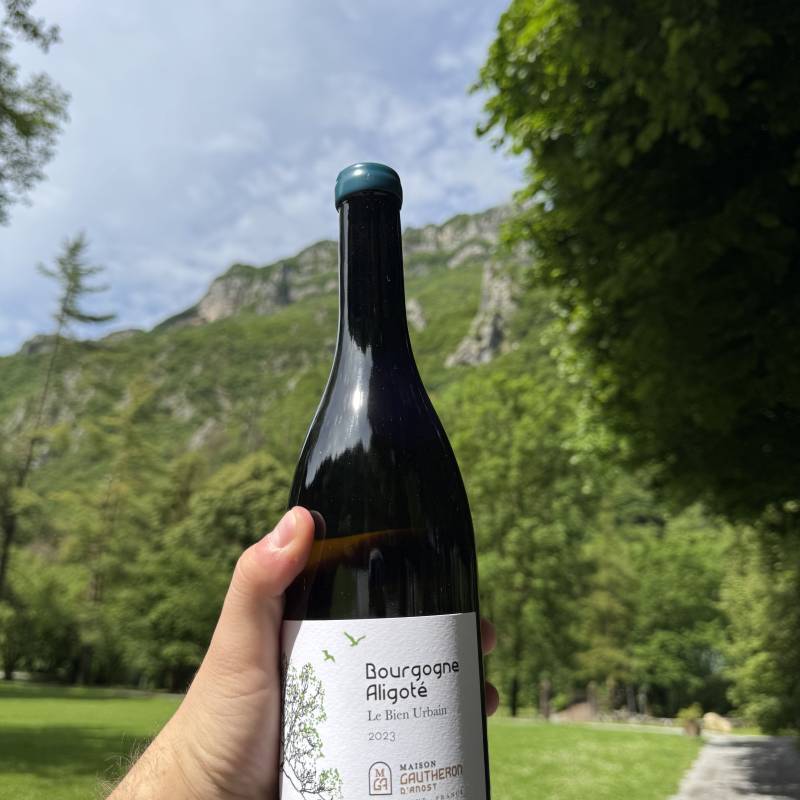 Bourgogne Aligote Le Bien Urbain