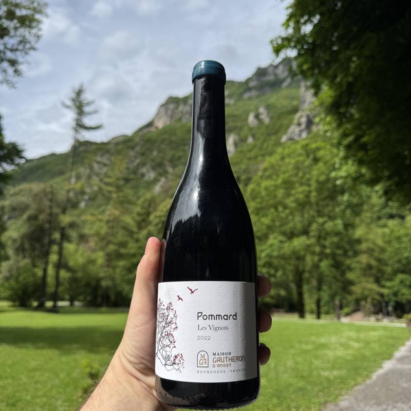 Pommard Les Vignots 2023
