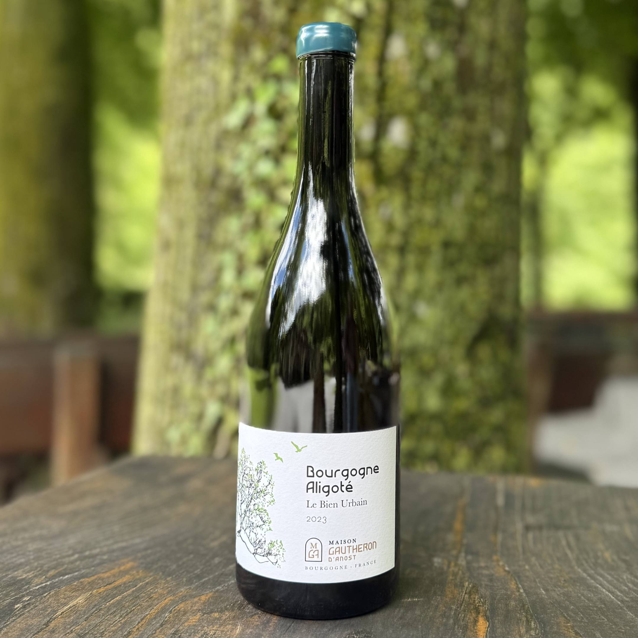 Gautheron d'Anost Bourgogne Aligote Le Bien Urbain