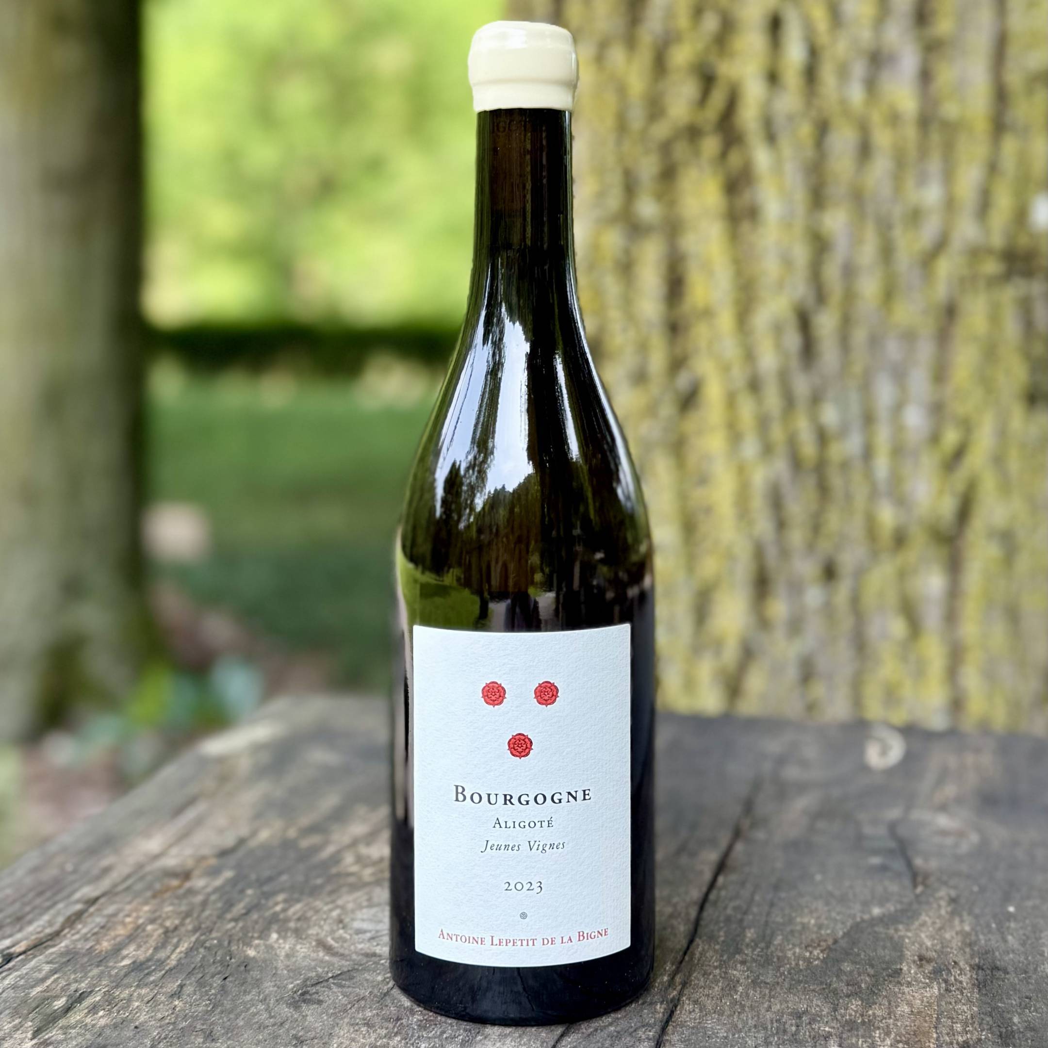 Domaine de la Pierre Ronde - Antoine Lepetit de la Bigne Bourgogne Aligote Jeunes Vignes