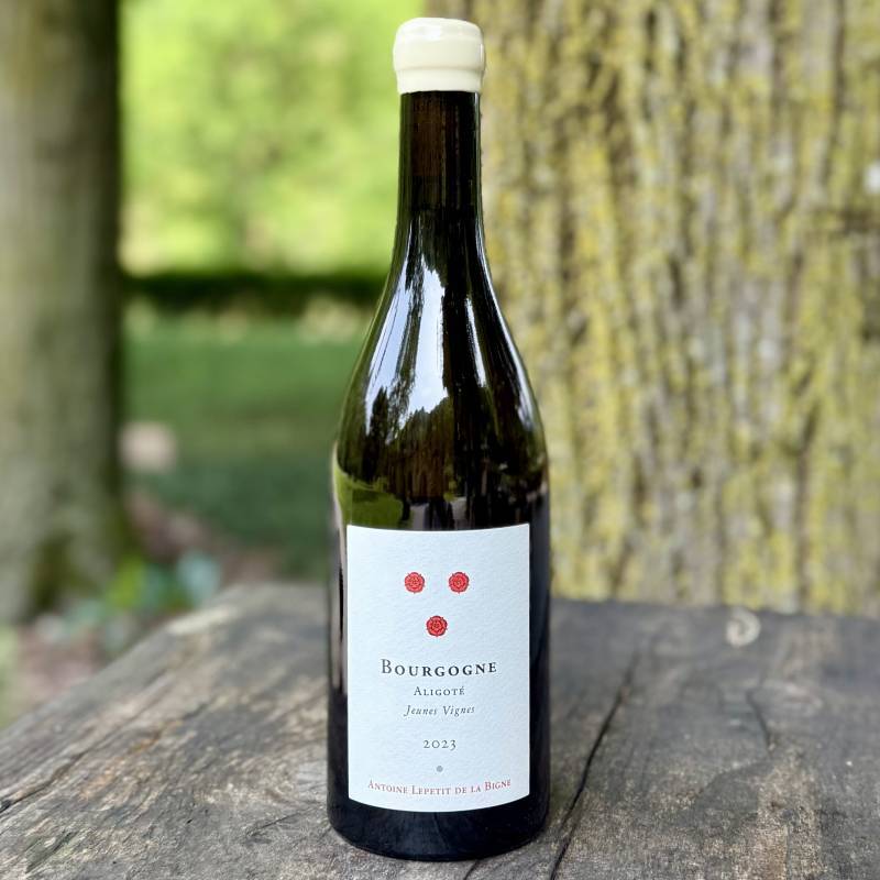Bourgogne Aligote Jeunes Vignes