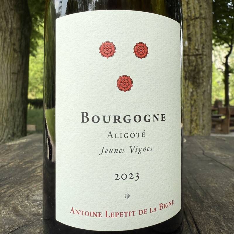Bourgogne Aligote Jeunes Vignes