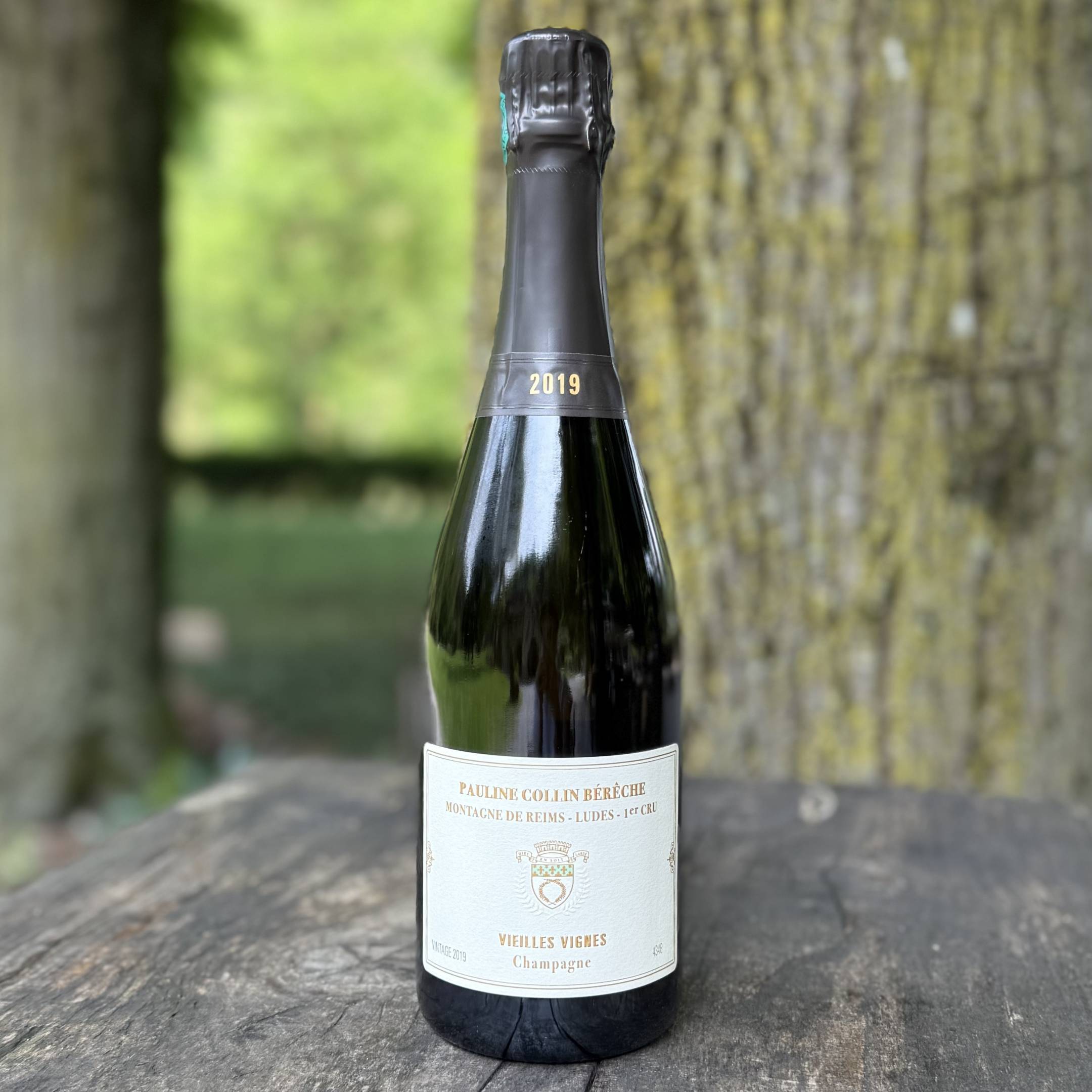 Pauline Collin Bérêche 2019 Ludes 1er cru Vieilles Vignes Extra Brut