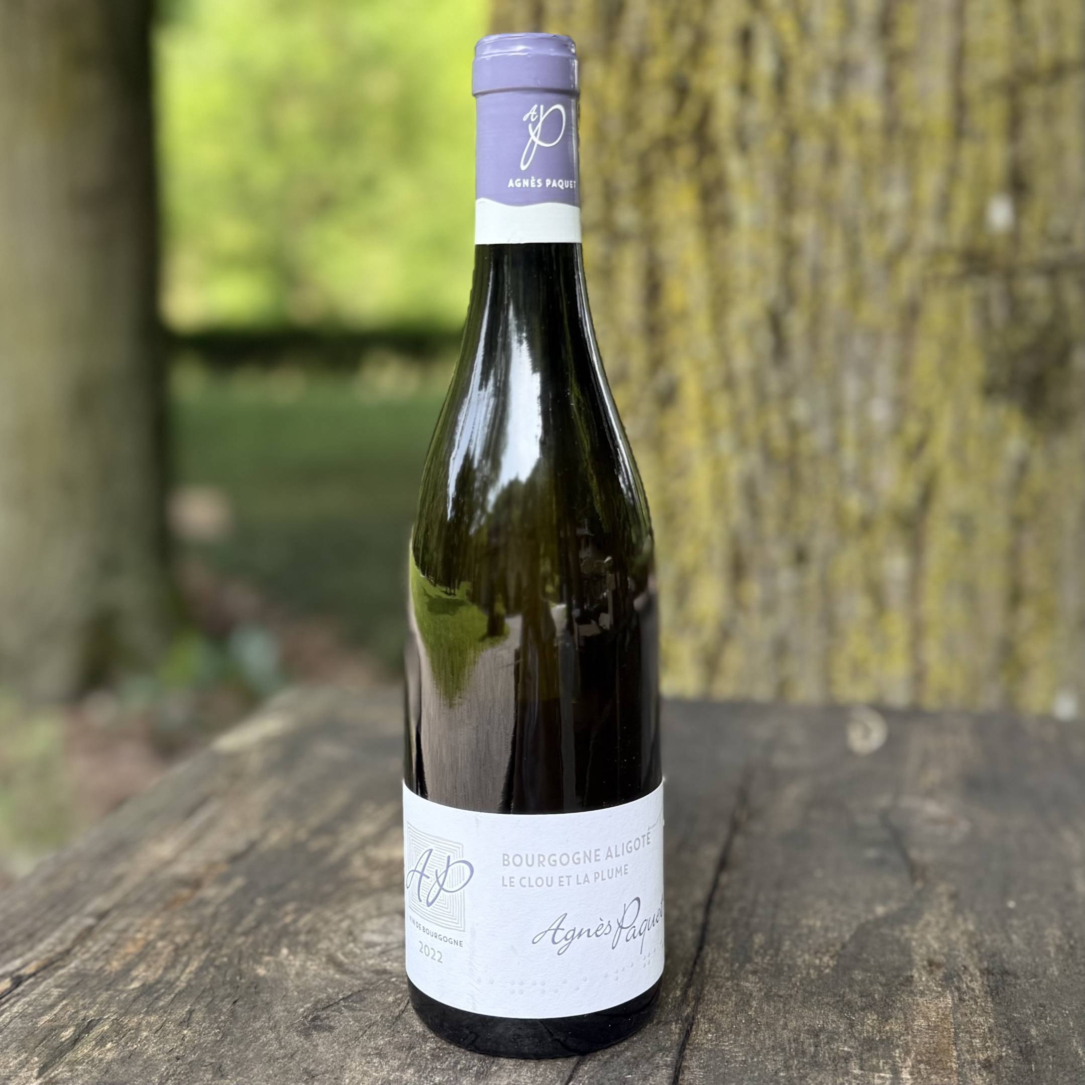 Agnès Paquet Bourgogne Aligote Le Clou et la Plume 2022