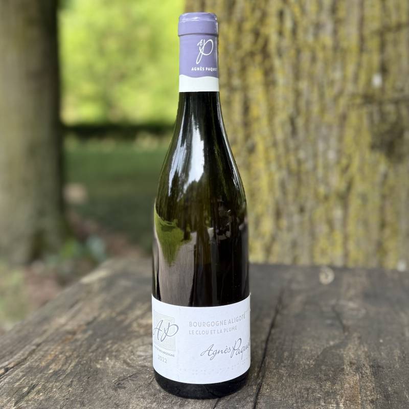 Bourgogne Aligote Le Clou et la Plume 2022
