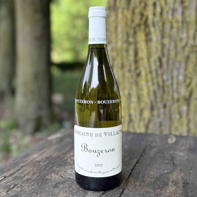 Bouzeron Aligote BIO 2022