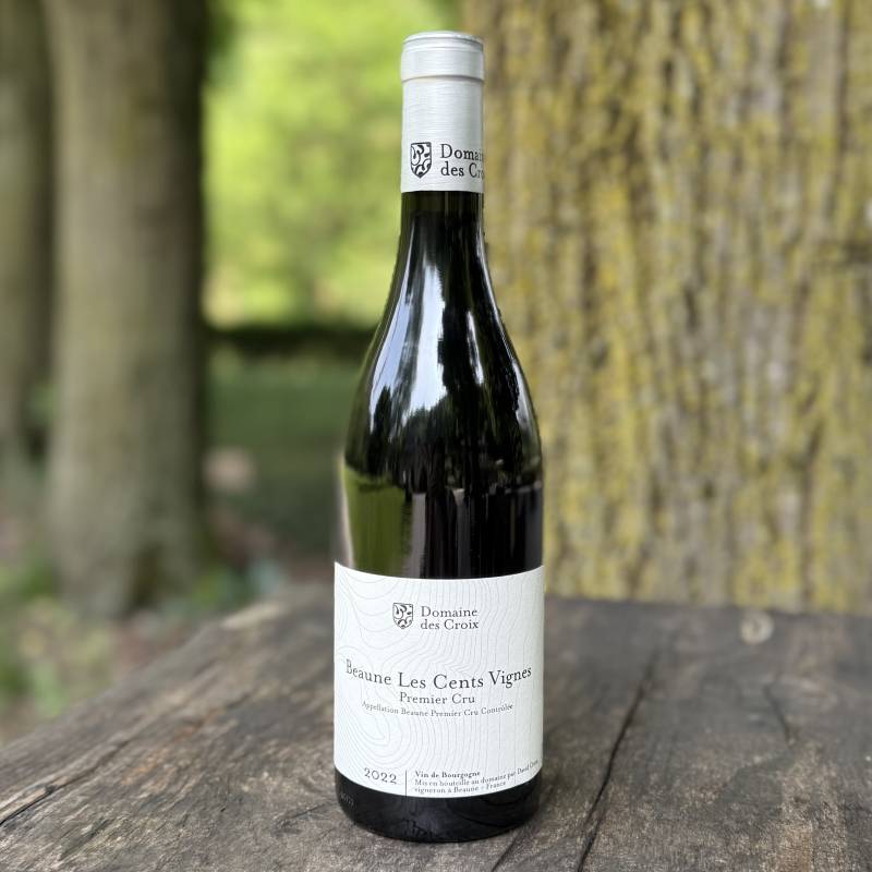 Beaune 1er Cru Les Cent Vignes 2022