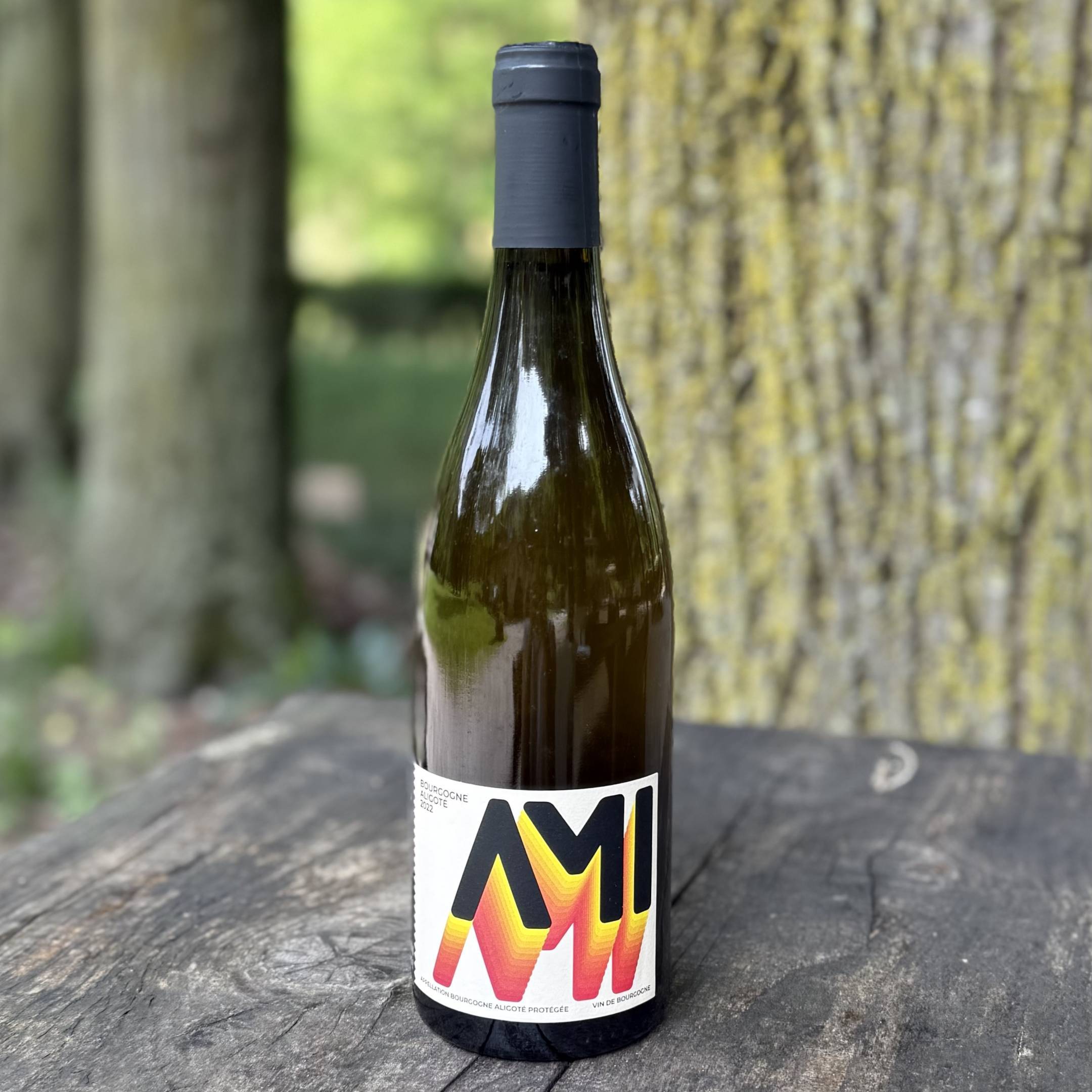 Ami Bourgogne Aligote Skin 2022