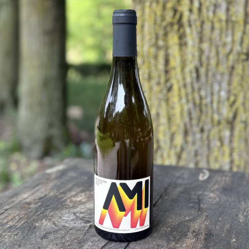 Bourgogne Aligote Skin 2022