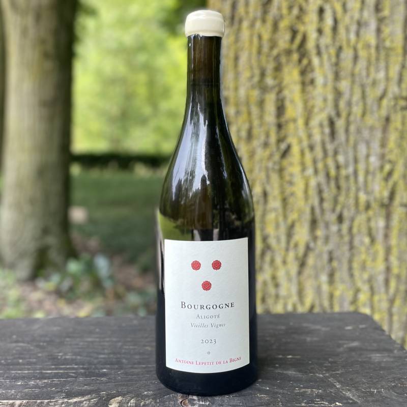 Bourgogne Aligote Vieilles Vignes