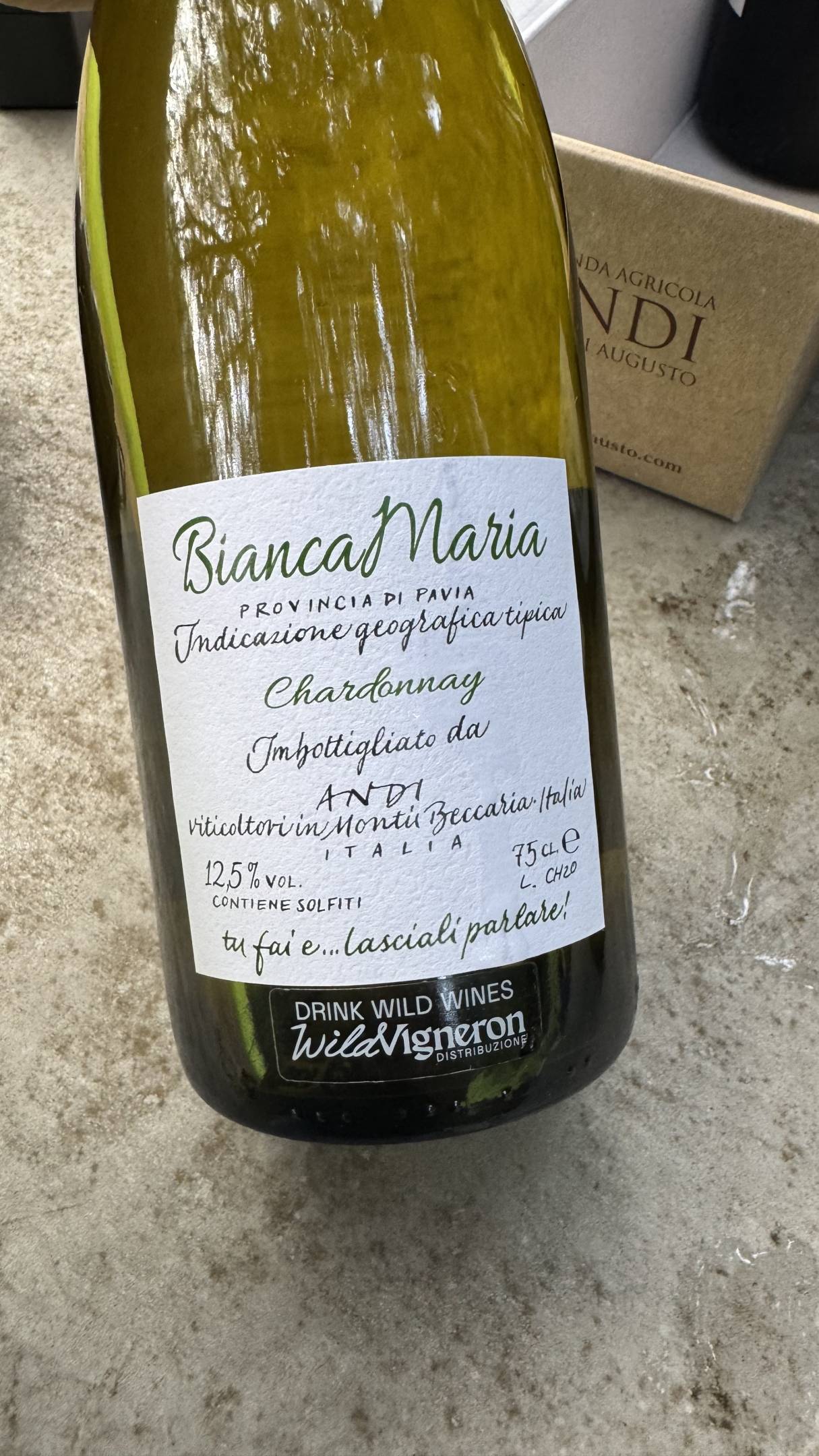 Wild Vigneron X Fausto Andi 09-06-2025