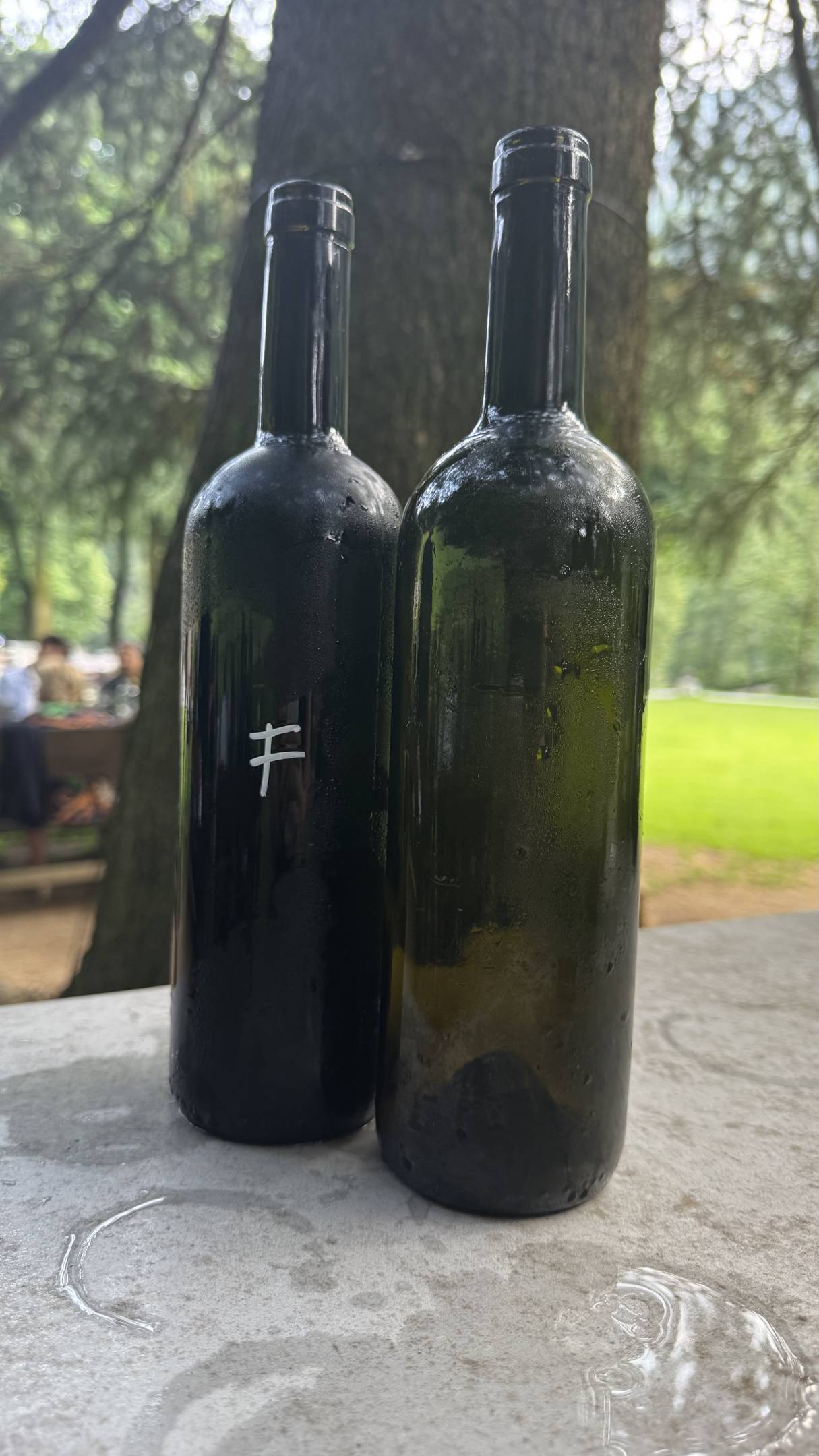 Wild Vigneron X Fausto Andi 09-06-2025