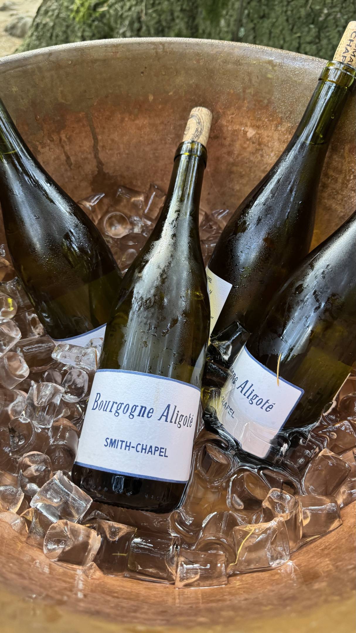 Wild Vigneron X Domaine Chapel