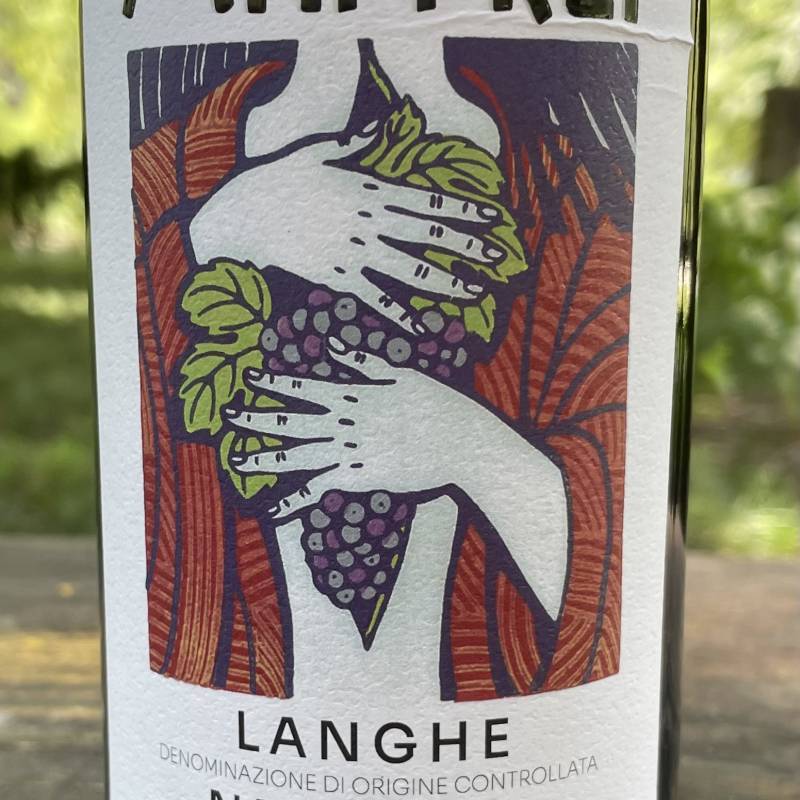 Nebbiolo 2024