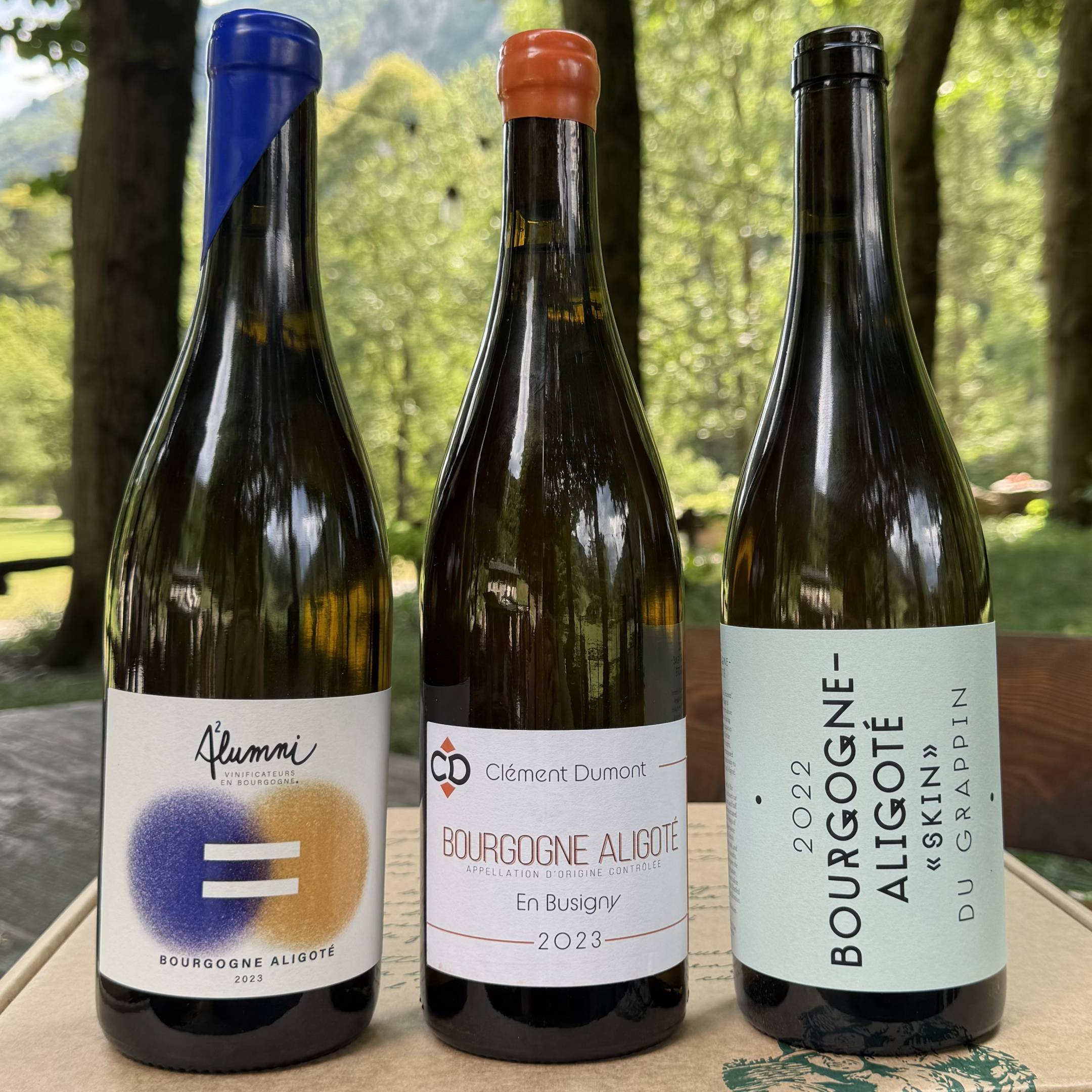 Aligote Essenziale