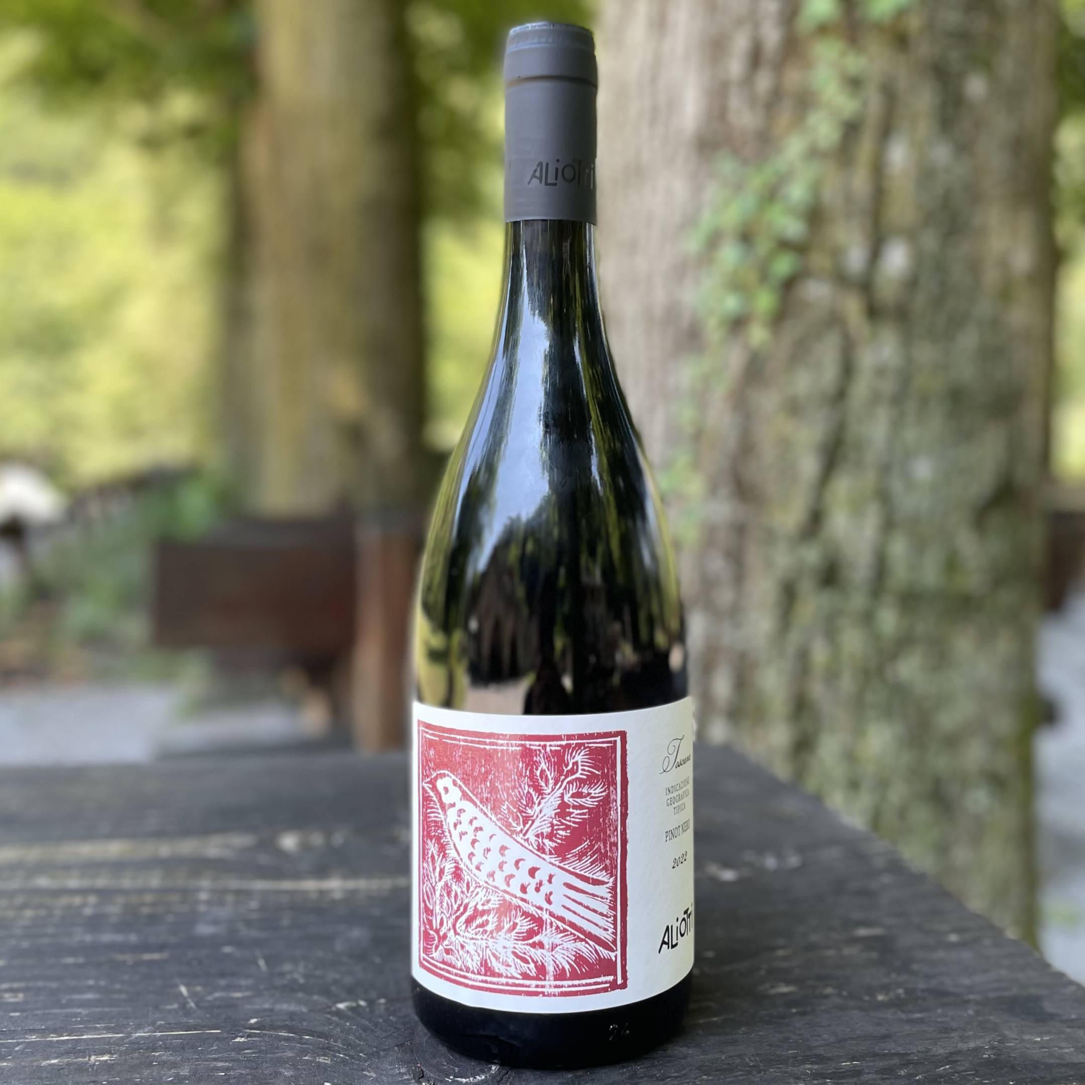Aliotti Pinot Nero 2022