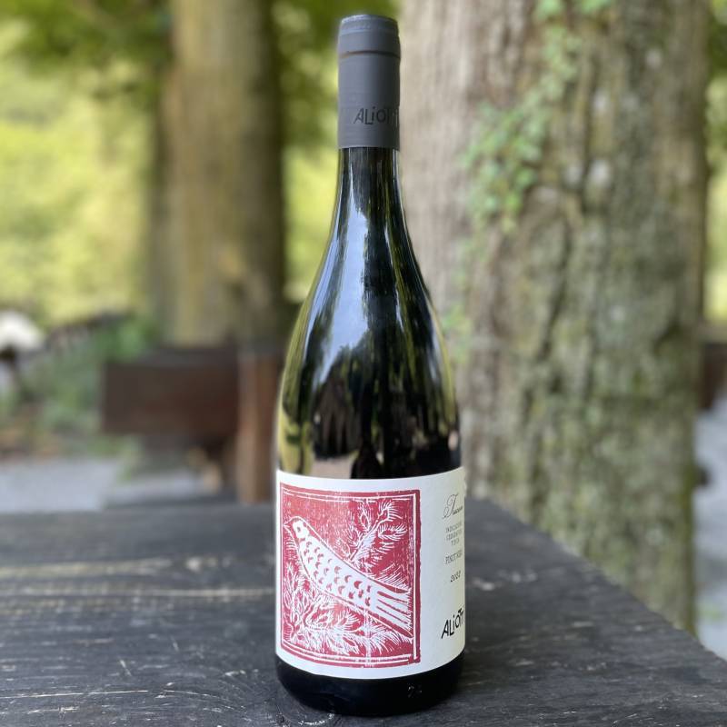 Pinot Nero 2022
