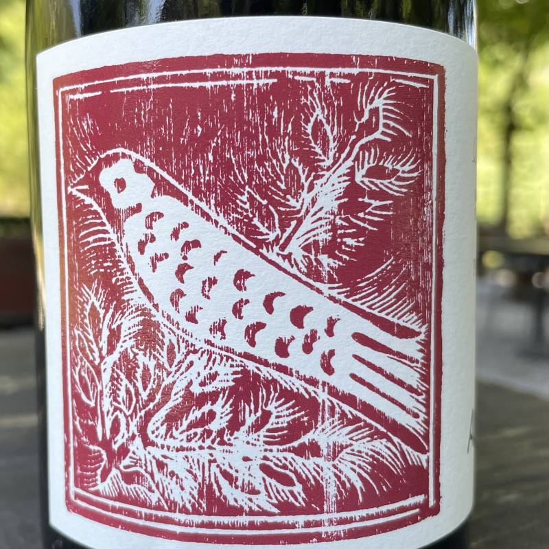 Pinot Nero 2022