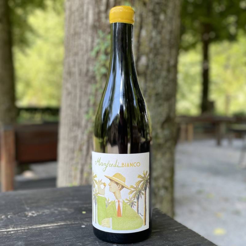 Manfredi Bianco 2024