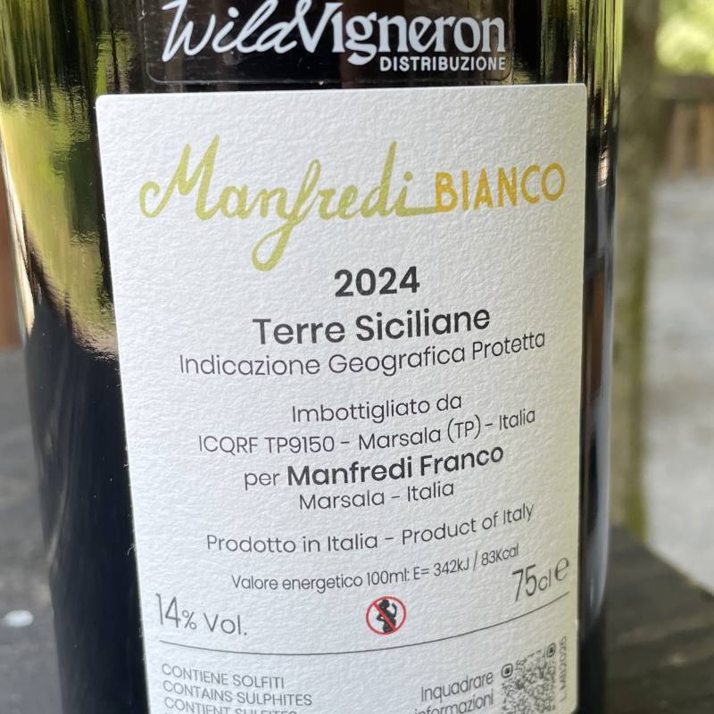 Manfredi Bianco 2024