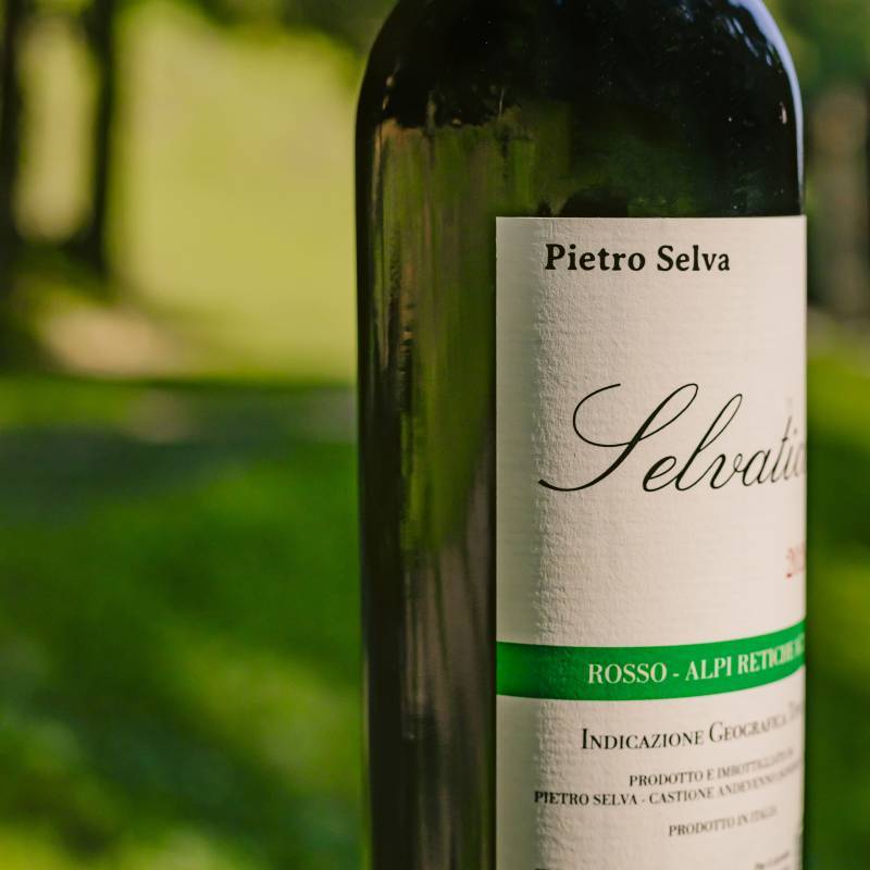 Selvatico